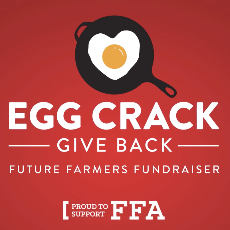 Egg Crack, Give Back 