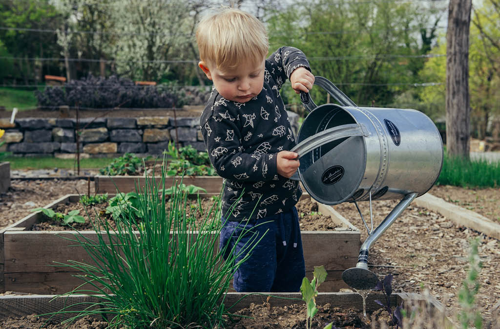 water gardening tips feature