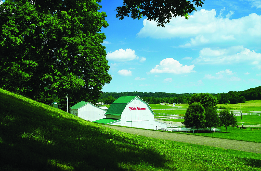 summer barn afternoon copy
