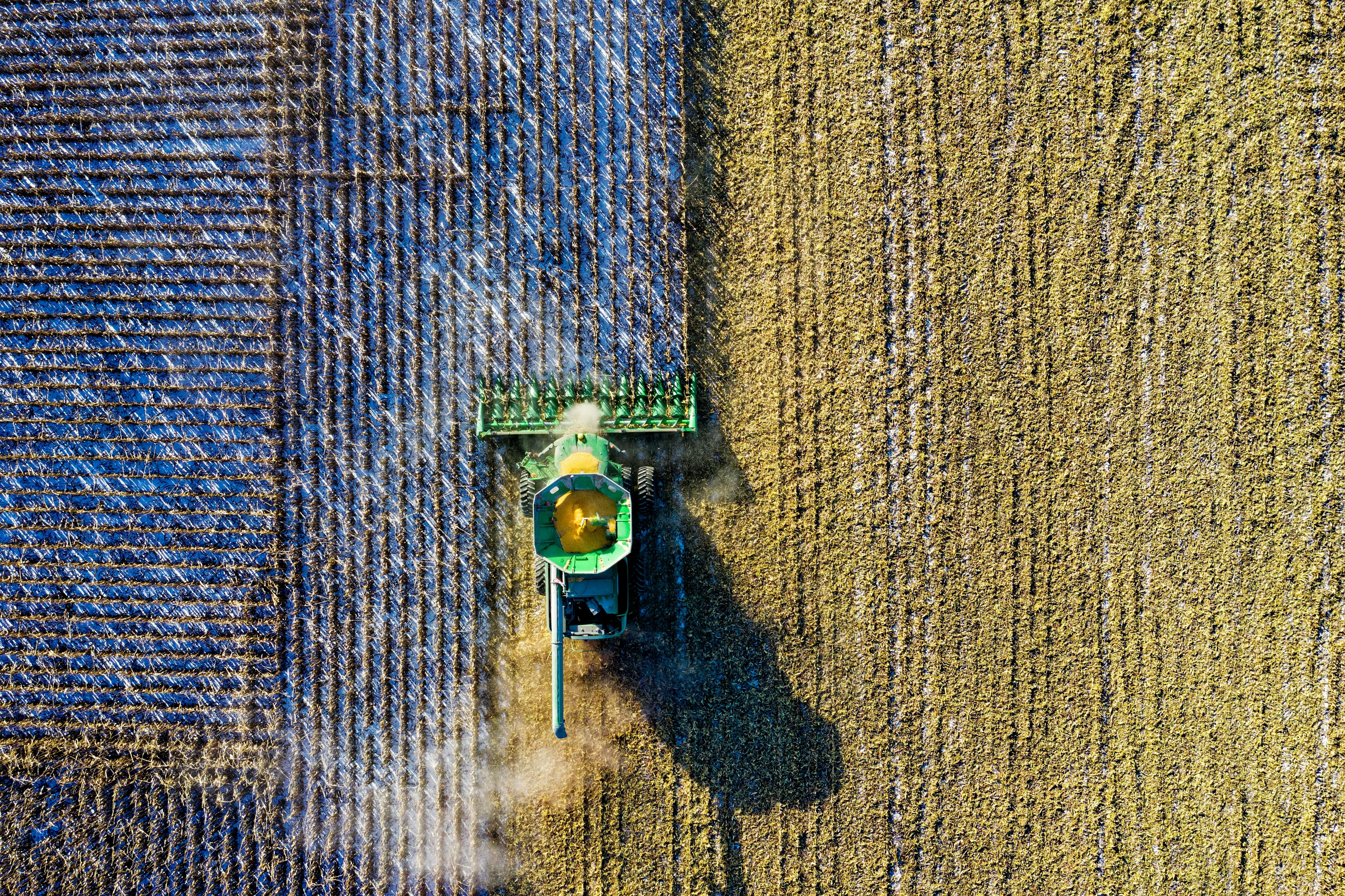 Egg Crack Give Back For Future Farmers 