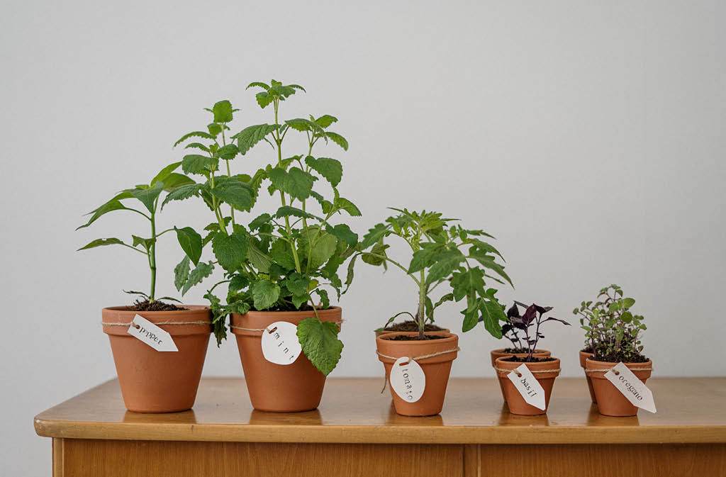 earth day farm post8