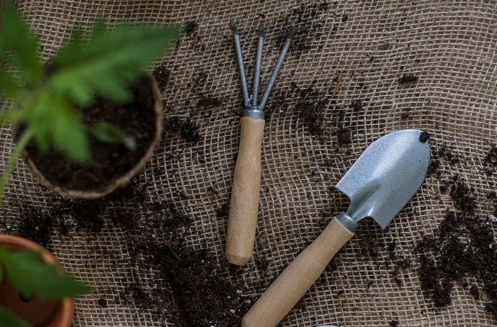 earth day farm post7