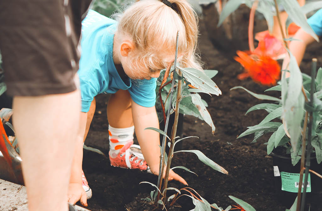 earth day farm post6