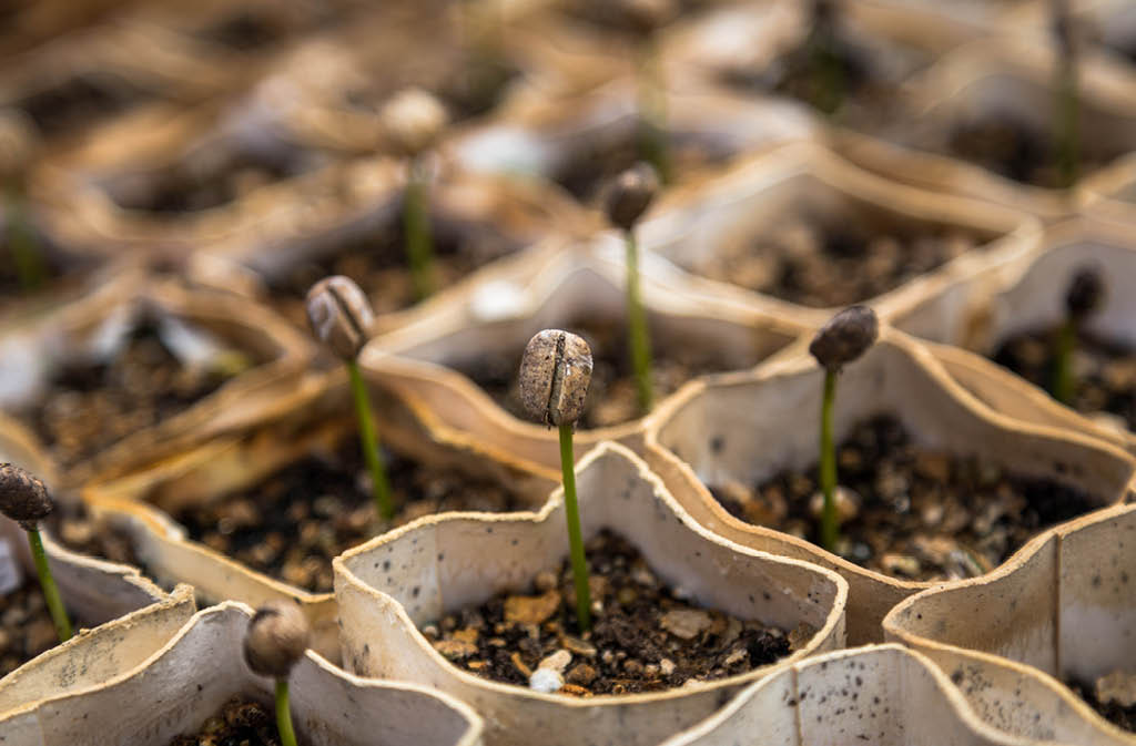 earth day farm post