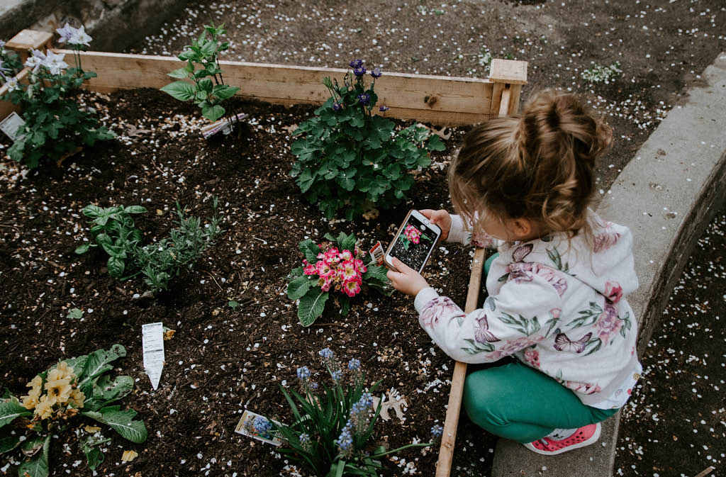 where good grows gardening kids3