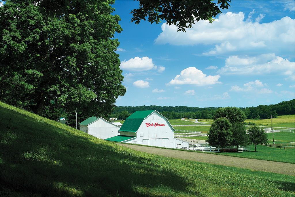 summer barn afternoon -aw