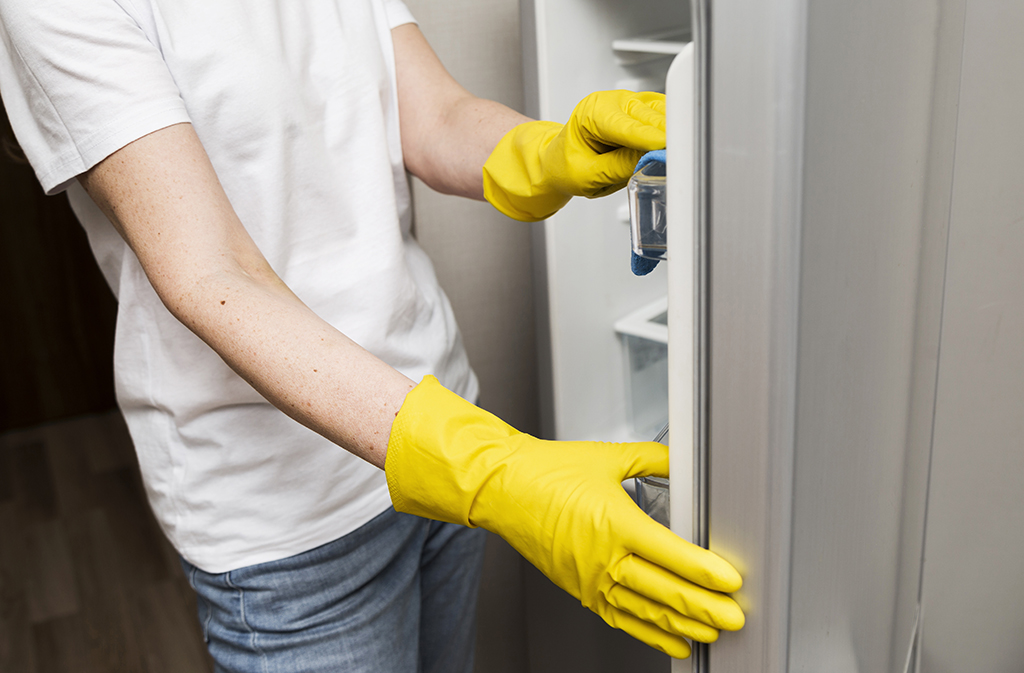 side-view-woman-cleaning-fridge copy