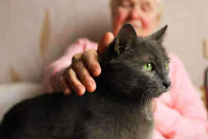Old Woman Petting Cat