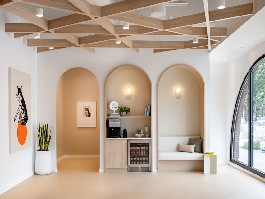 Brookline Boston Vet Practice Small Door Veterinary