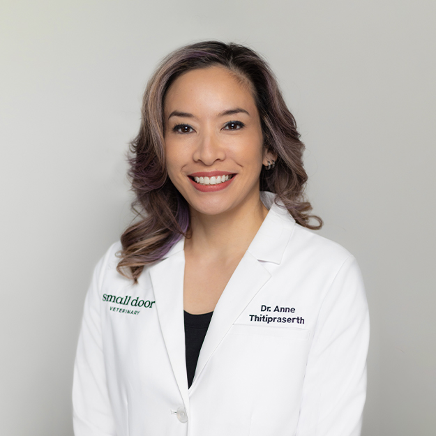 Small Door veterinarian Dr. Anne Thitipraserth, DVM