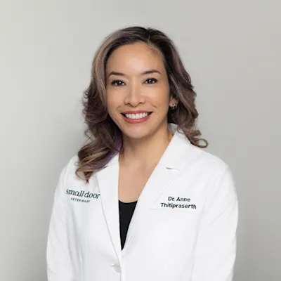Small Door veterinarian Dr. Anne Thitipraserth, DVM