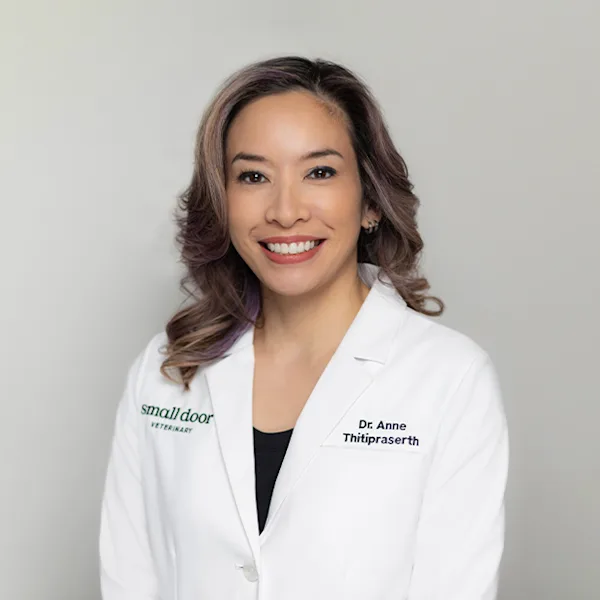 Small Door veterinarian Dr. Anne Thitipraserth, DVM