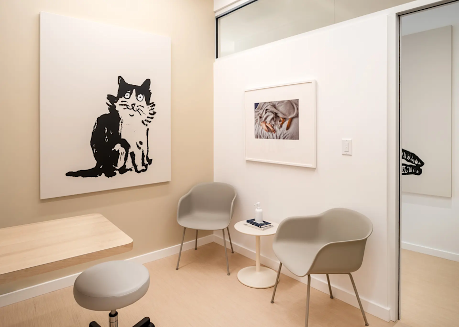 Brookline Boston Vet Practice Small Door Veterinary