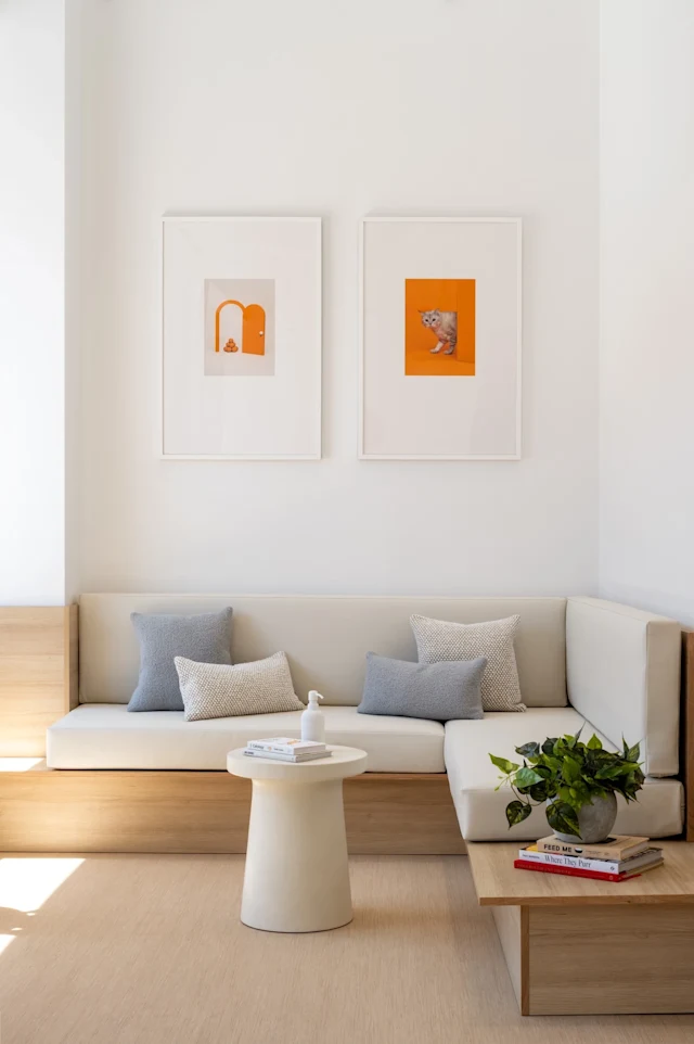 Small Door Veterinary Park Slope Waiting Room and Lobby Couch