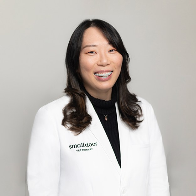 Dr. Cindy Zhang