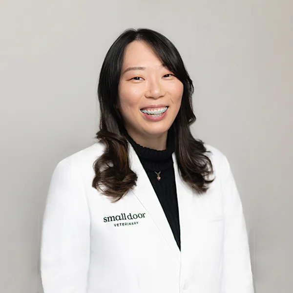 Dr. Cindy Zhang