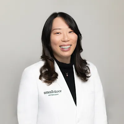 Dr. Cindy Zhang