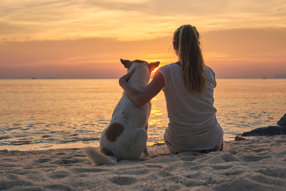 Sunset Woman on Beach with Dog