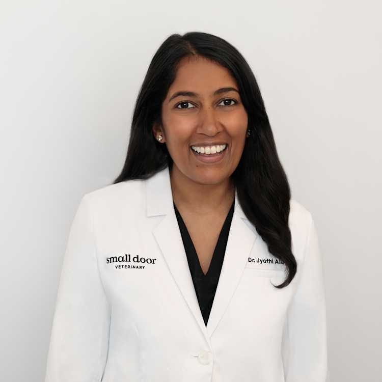 Dr. Jyothi Alagappan (she/her), DVM Small Door Veterinary