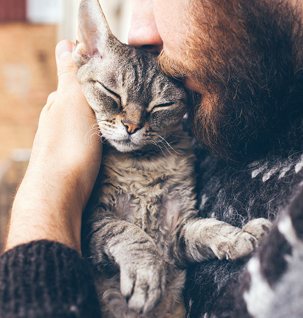 Bearded man kissing kitten cat