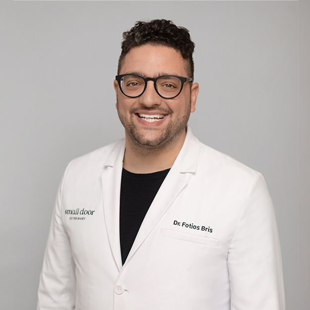 Fotios Bris DVM Small Door Veterinary West Village NY