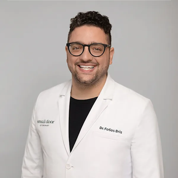 Fotios Bris DVM Small Door Veterinary West Village NY