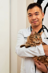 Veterinarian holding cat