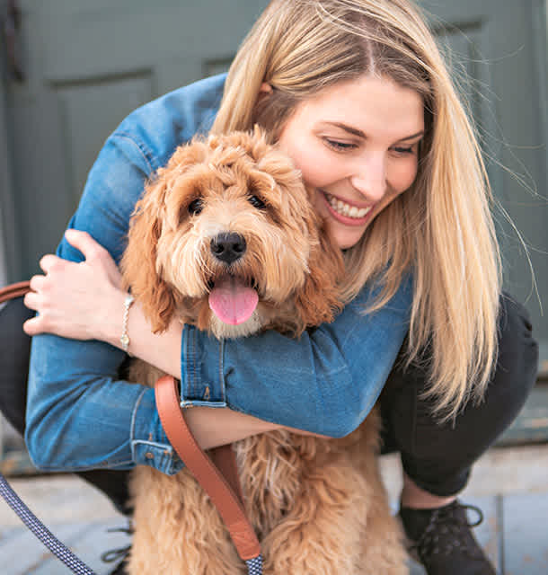 Pet Travel Certificates Small Door Veterinary Pet Travel Certificates Small Door Veterinary