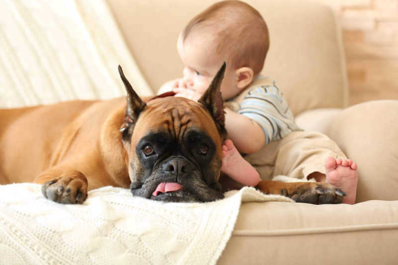 Baby and dog sitting on couch