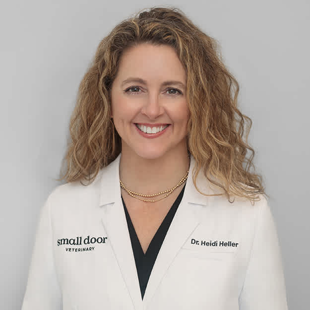Dr. Heidi Heller (she/her), DVM, CCRP, USDA Accredited Small Door