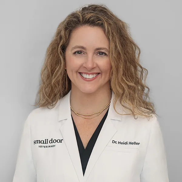 Dr. Heidi Heller