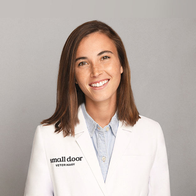 Dr. Lane Simonin is a Staff Veterinarian at Small Door Veterinary Upper East Side