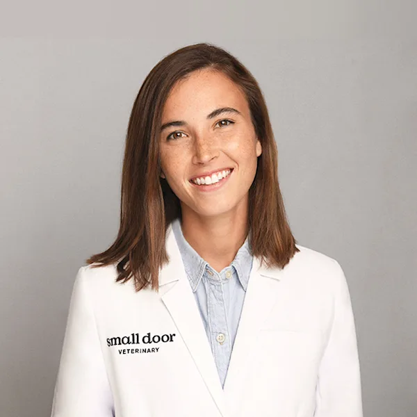 Dr. Lane Simonin is a Staff Veterinarian at Small Door Veterinary Upper East Side
