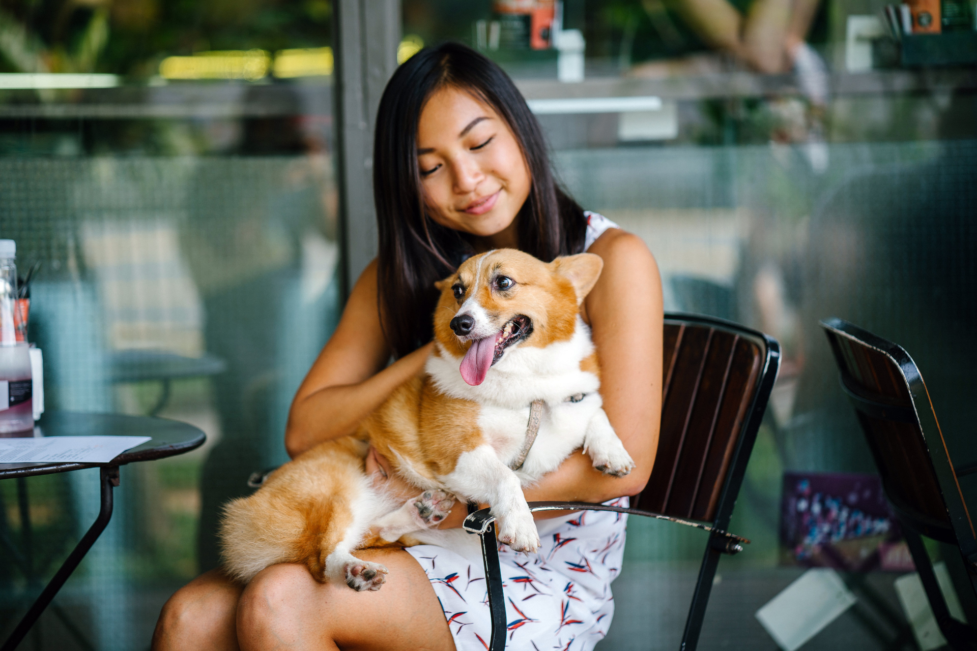 Women and her dog, a corgi, sitting at a dog friendly restaurant in Park Slope Brooklyn