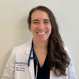 Dr. Cindy Cherness (she/her)