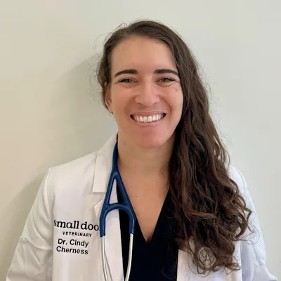 Dr. Cindy Cherness (she/her)