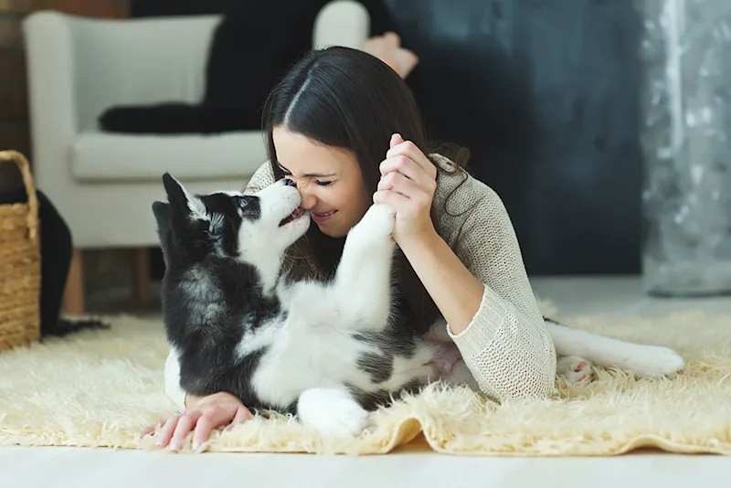 Woman and dog playing indoors
