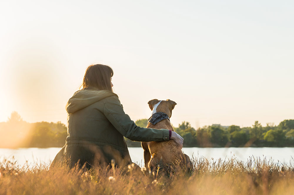 Owner and dog sitting side by side looking towards a lake