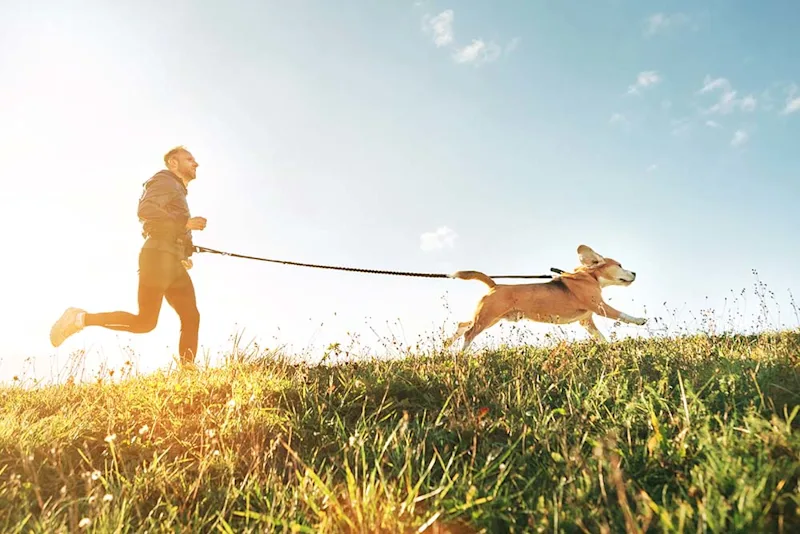 Man running through field with his dog