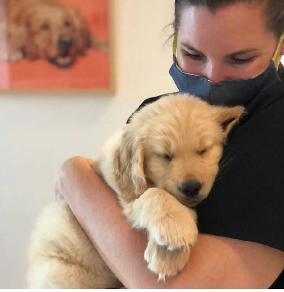 Can Dogs and Cats Get Coronavirus? Small Door Veterinary