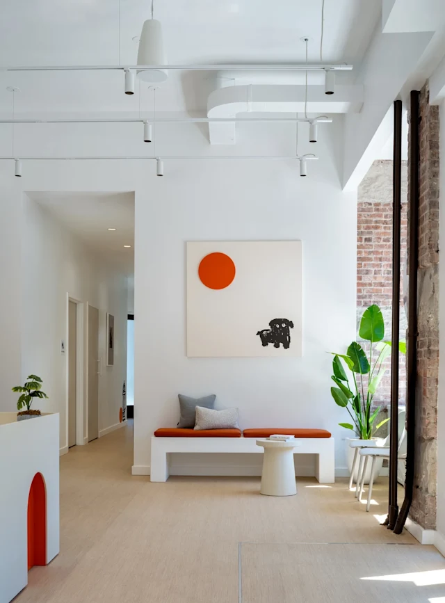 Small Door Veterinary Park Slope Lobby