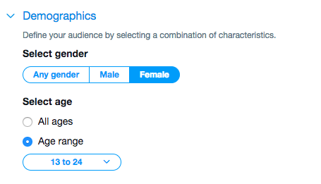 Twitter ad targeting demographics