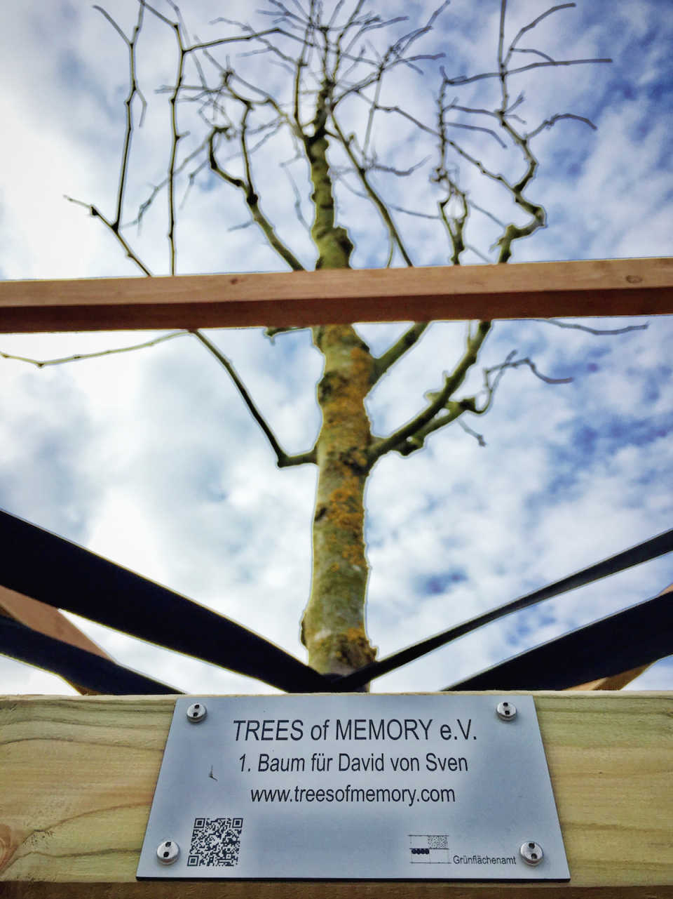 Baum von Tree of Memory e.V.