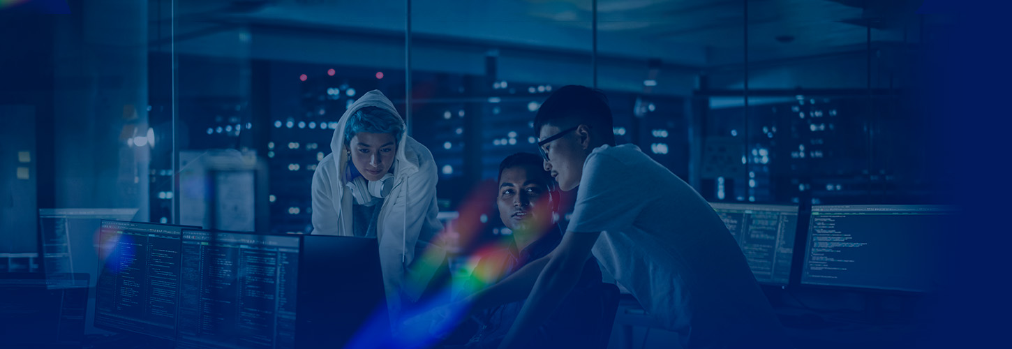 Application & Web Development Category Banner Image