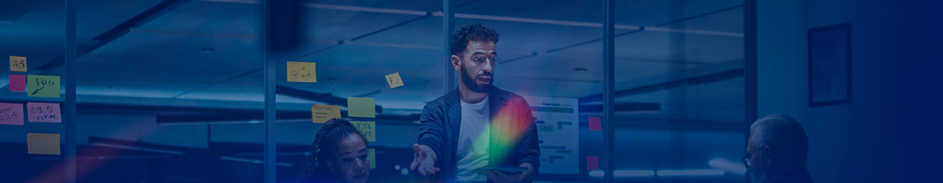 Business Analysis & Architecture Category Banner Image