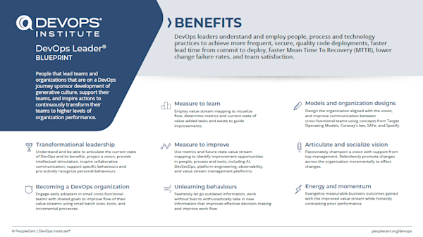 DevOps Leader Blueprint image