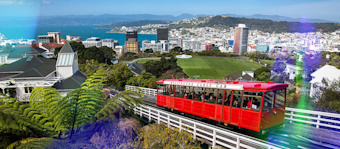 Lumify Location - Wellington