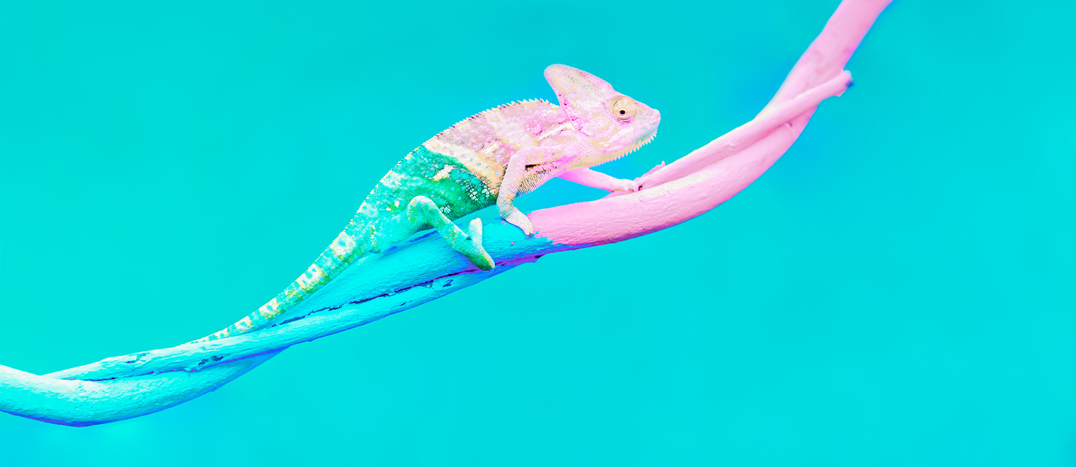 ddls header banner organisational change