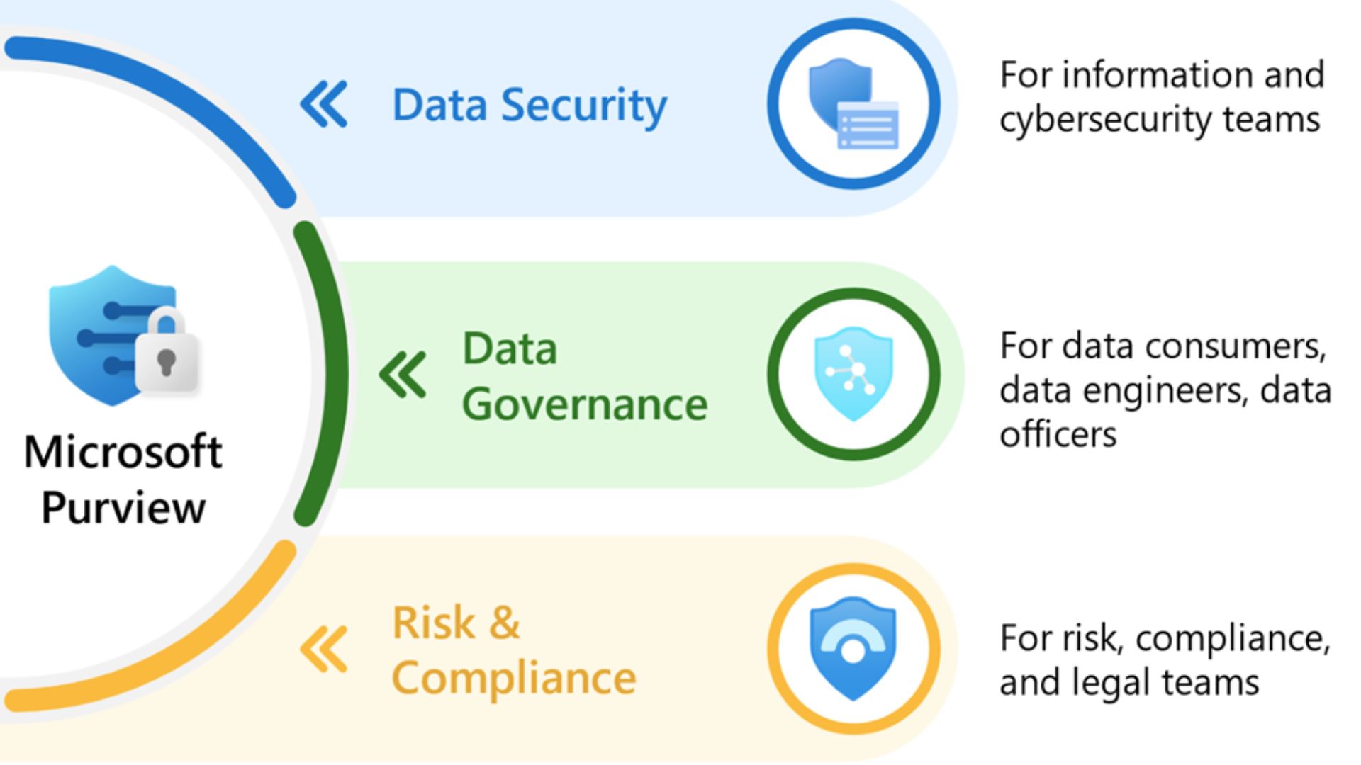 LW ANZ PH eDiscovery Review Sets, Case Studies and the Need for Microsoft Purview Training - Areas