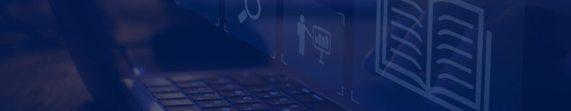 LW Digital Solutions Custom Learning Solutions